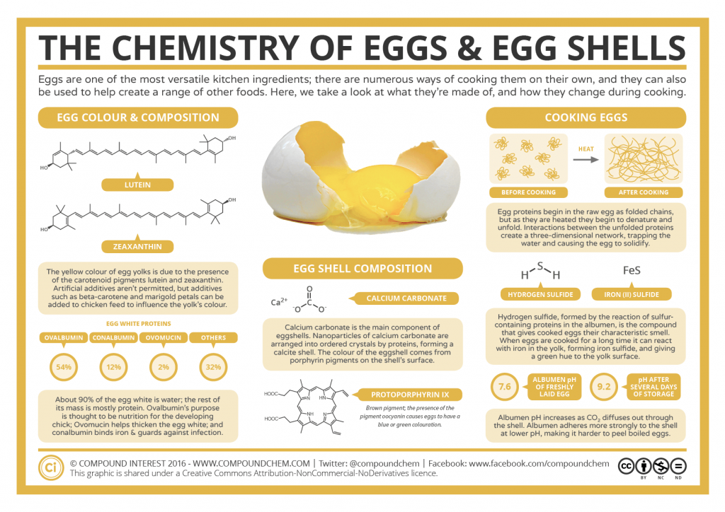 The onsen egg temperature curve Nihon the perfect egg